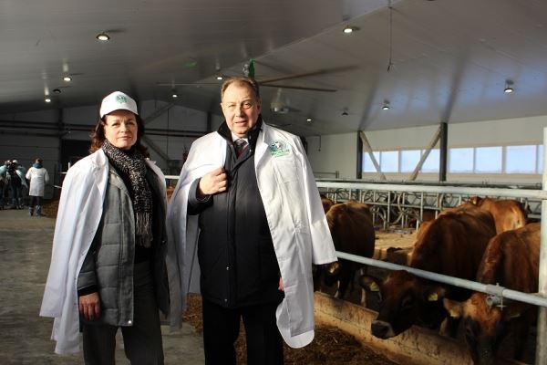 В Томской области открылась первая в Сибири ферма по содержанию джерсейской породы коров