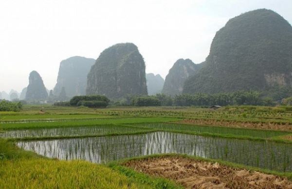 <br />
Китай поощряет слияния и поглощения в агрохимической промышленности, вступая в 14-ю пестицидную пятилетку<br />
