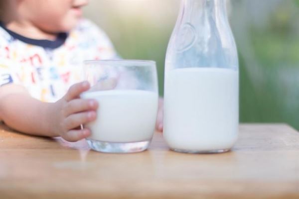Молоко для сельских школ готовы поставлять фермеры РФ